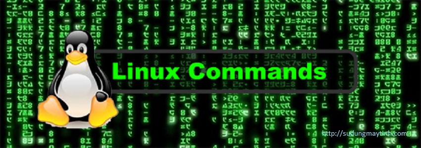 Phần 5- Các câu lệnh thường dùng khác trong Linux