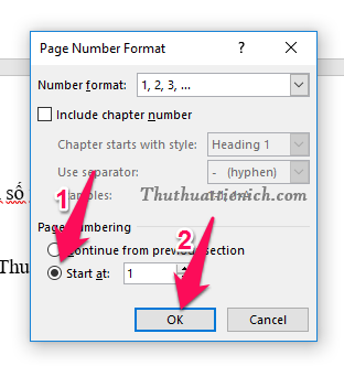Chọn kiểu định dạng bạn muốn sử dụng để đánh số trong phần Number Format