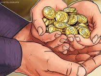 Quỹ từ thiện Bitcoin tặng 1 triệu USD cho Internet Archive | Thị trường coins