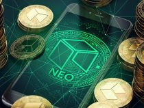 Giữa lúc thị trường đang khủng hoảng, NEO vẫn tăng trưởng lên $170 | Thị trường coins