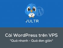 Hướng dẫn cài đặt WordPress trên VPS Vultr