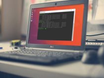 Cách thực hiện đa nhiệm trên Linux Terminal với Screen