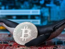 Blog: Tại sao bạn không nên lo lắng về “cá voi dìm giá” Bitcoin?