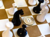 Nghiên cứu: Tỉ lệ thống trị của Bitcoin trong thị trường tiền điện tử có thể lên đến 80%