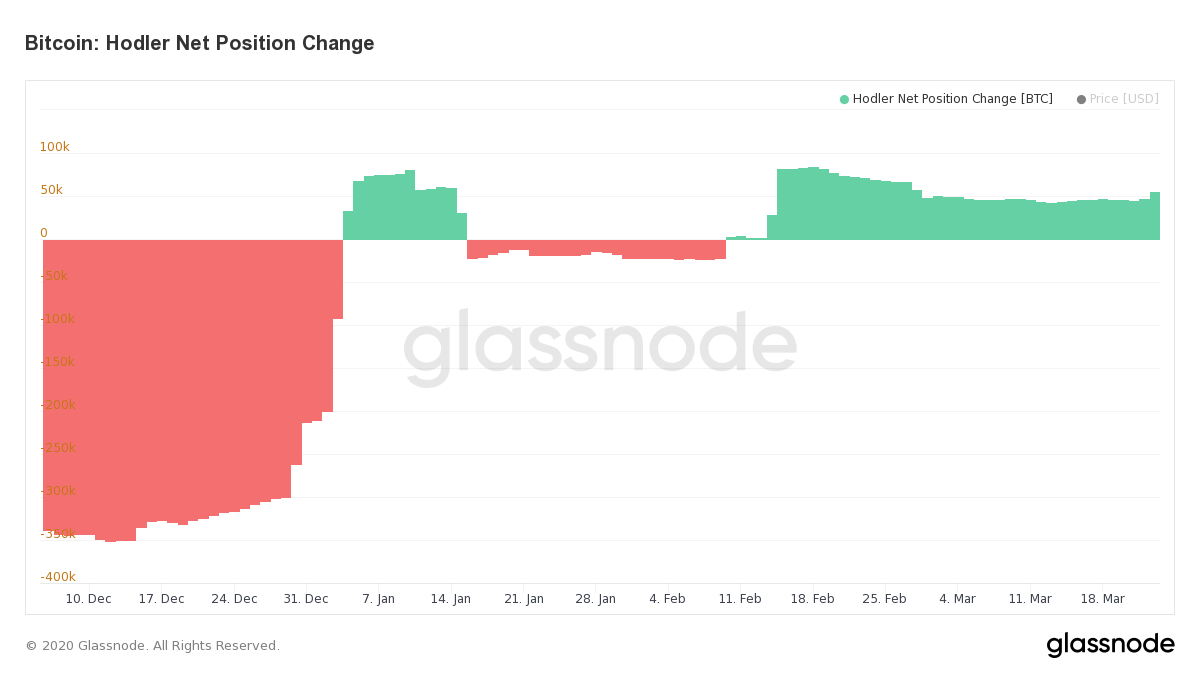 Chỉ số "Holder net Position Change". Nguồn: Glassnode