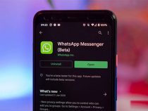Cách bật Dark Mode cho WhatsApp trên Android, Web