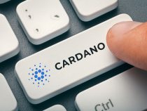 Cardano xuất hiện tín hiệu xấu – từng khiến ADA giảm mạnh 75% so với Bitcoin