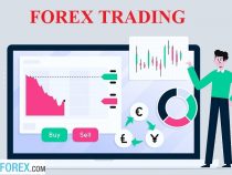 Forex Trading Là Gì? Các Bước Trở Thành Forex Trader Chuyên Nghiệp