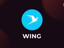 Wing Finance là gì? 1 phút NẮM TRỌN thông tin về Wing Finance (WING)