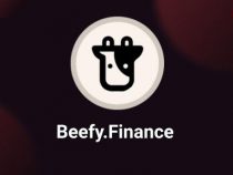 Beefy.Finance (BIFI) là gì? Chi tiết nền tảng Beefy.Finance và BIFI token