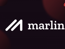 Marlin Protocol là gì? Tìm hiểu thông tin chi tiết về Marlin Protocol (POND)