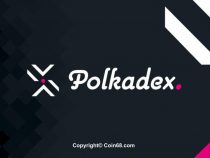 PolkaDEX là gì? Tìm hiểu về Sàn giao dịch phi tập trung PolkaDEX?