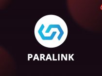 Paralink Network (PARA) là gì? Tìm hiểu về Paralink và token PARA