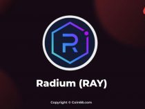 Raydium (RAY) là gì? Thông tin chi tiết về dự án Raydium và RAY coin