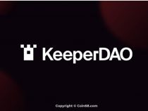 KeeperDAO (ROOK) là gì? Thông tin chi tiết về dự án KeeperDAO và ROOK coin