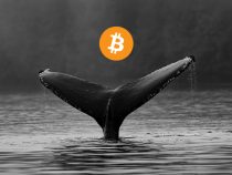 Cá voi tích lũy 2,2 tỷ USD Bitcoin trong một tuần