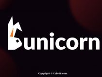 Đánh giá dự án Bunicorn (BUNI coin). Thông tin và update mới nhất về dự án