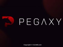 Đánh giá dự án game Pegaxy (PGX coin)