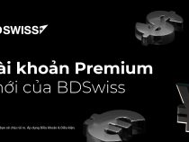 BDSwiss ra mắt tài khoản Premium mới với đòn bẩy 1:1000