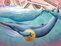 Hoạt động của cá voi Bitcoin (BTC) tăng vọt sau khi giá chạm đáy vì chiến sự