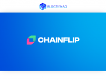 Chainflip (FLIP) là gì? Thông tin chi tiết về tiền điện tử FLIP