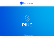 Pine Protocol (PINE) là gì? Thông tin chi tiết về tiền điện tử PINE