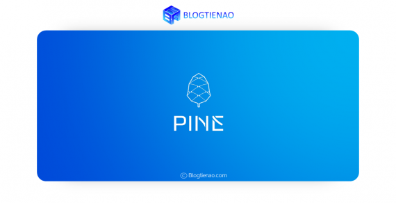 Pine Protocol (PINE) là gì? Thông tin chi tiết về tiền điện tử PINE