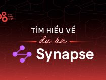 Synapse Protocol (SYN) là gì? Thông tin về dự án và SYN coin