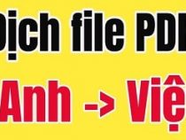 3 cách dịch file PDF từ tiếng Anh sang tiếng Việt và ngược lại