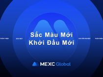 MEXC Global cán mốc 10 triệu user và quyết định nâng cấp màu sắc thương hiệu