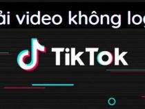 Cách tải video Tiktok về máy tính không có logo