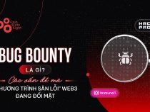 Bug Bounty là gì? Các vấn đề mà “chương trình săn lỗi” Web3 đang đối mặt