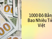 1000 Đô Bằng Bao Nhiêu Tiền Việt