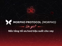 Morpho Protocol (MORPHO) là gì? Nền tảng tối ưu hoá hiệu suất cho vay