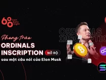 Phong trào Ordinals Inscription nở rộ khắp các blockchain sau một câu nói của Elon Musk