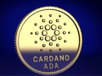 Dữ liệu cho thấy việc áp dụng Cardano đang tăng lên