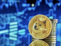 Cá voi Dogecoin mua DOGE trị giá 127 triệu USD