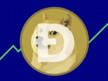 Dự đoán giá Dogecoin (DOGE) vào giữa tháng 1