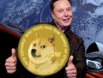 Elon Musk có bao nhiêu DOGE?
