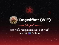 Dogwifhat (WIF) là gì? Memecoin nổi bật nhất của hệ Solana