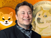 Elon Musk có bán 250 triệu Dogecoin trị giá 49,5 triệu USD không?